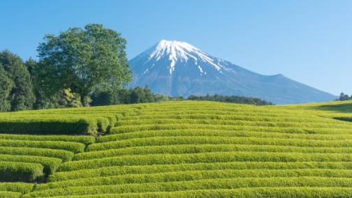 サンプル画像：中部地域